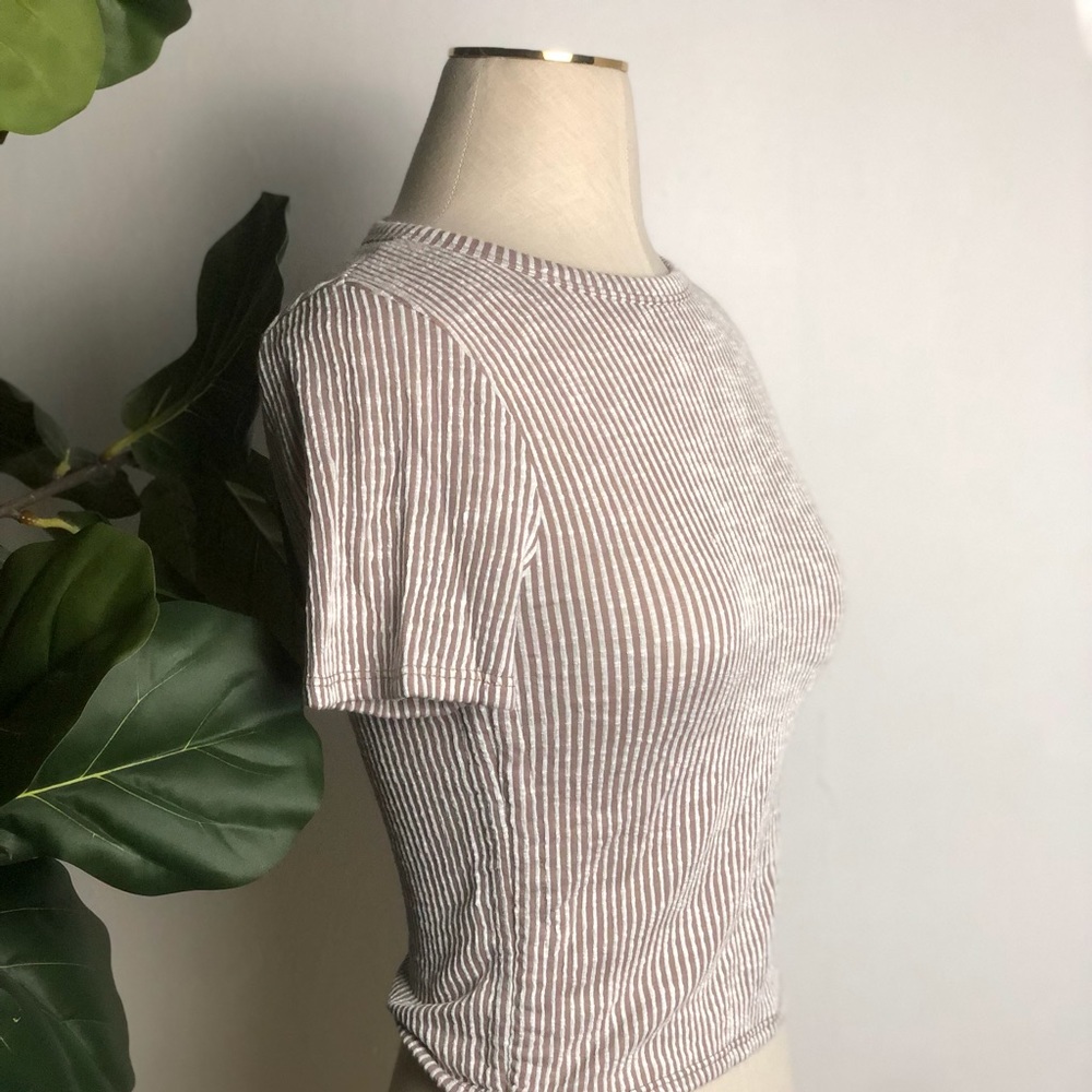 “Caution to the wind” brown and white crop top